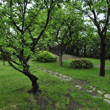 Szyszka I Roza Domek Na Jurze Zelazko Екстериор снимка