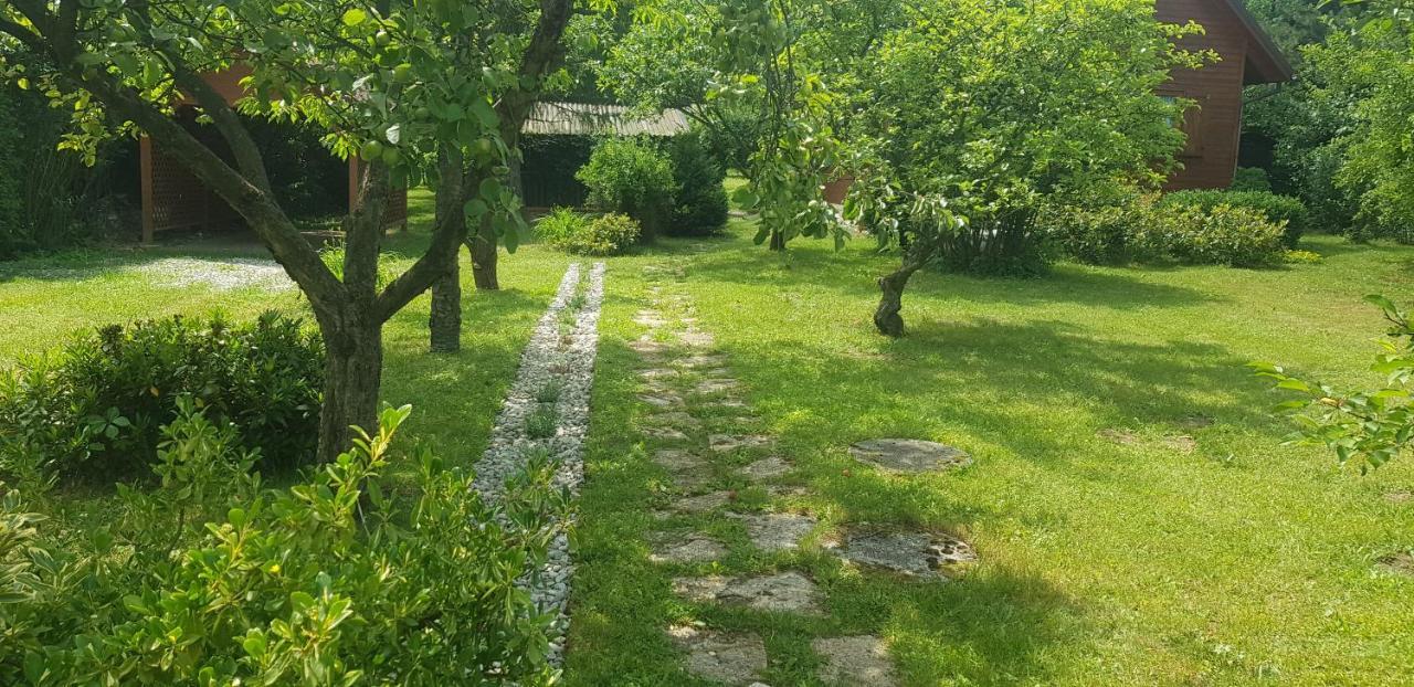 Szyszka I Roza Domek Na Jurze Zelazko Екстериор снимка